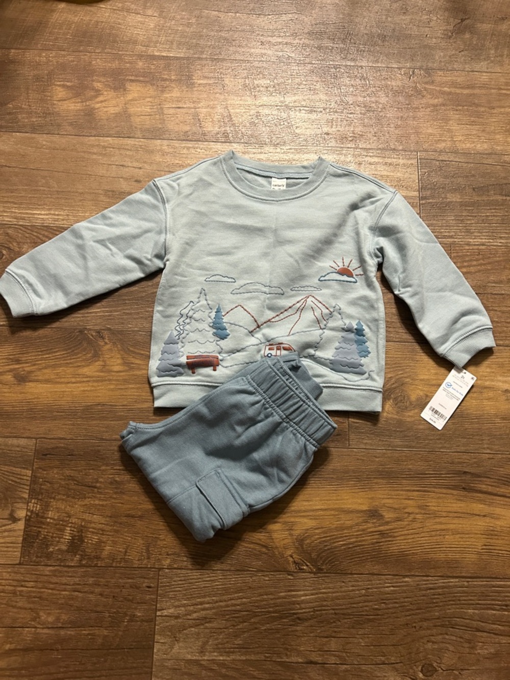 Carter's Light Blue Toddler Sweatshirt and Pants